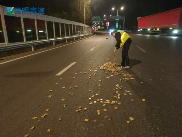 路巡處置